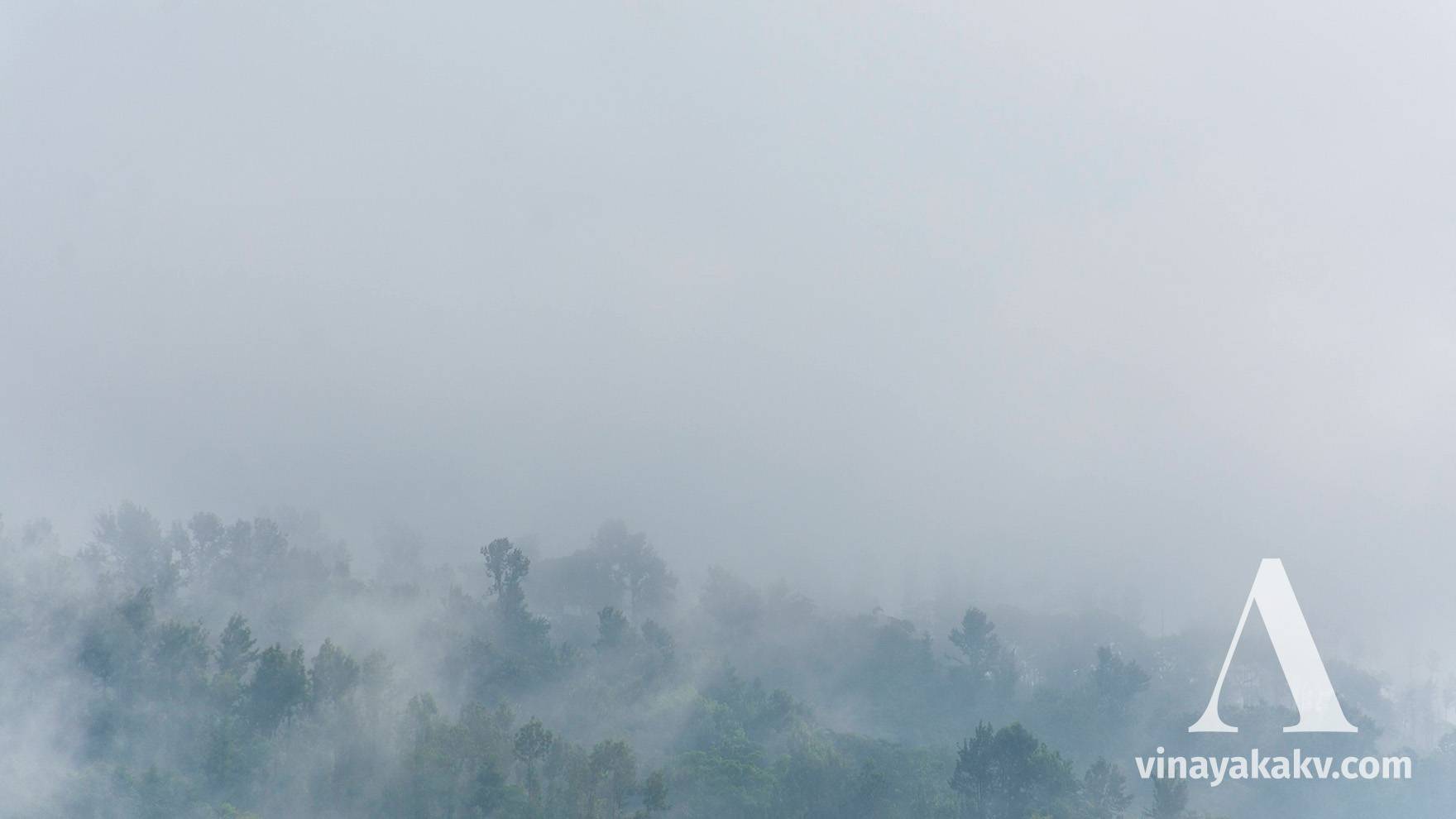 A misty mountain during a summer afternoon