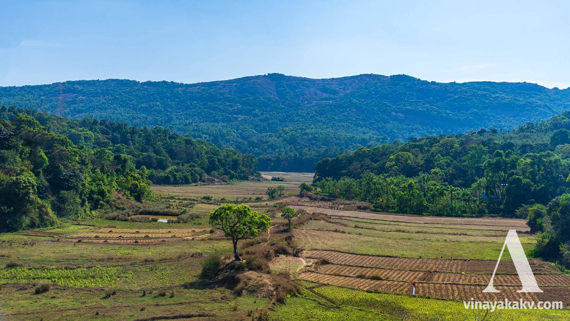 A view at _Shantalli_, with continuous farmlands between mountains.