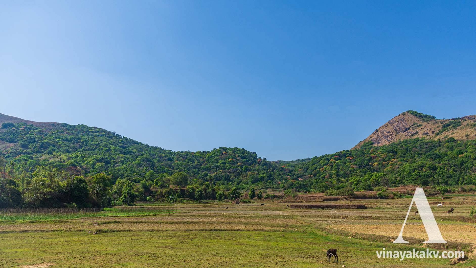 Farmlands, evergreen forests, and rocky mountains in coherence en route _Sakaleshapura_ to _Somavarapete_.