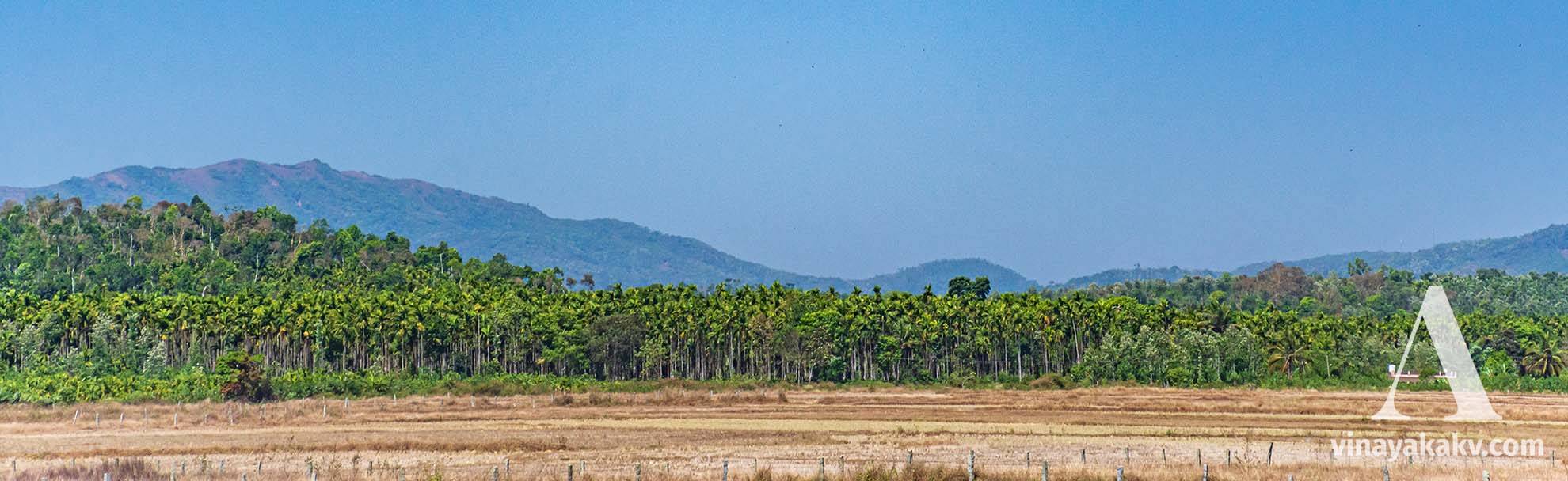 The bordering Western Ghats, viewed across the plain farmlands and plantations.