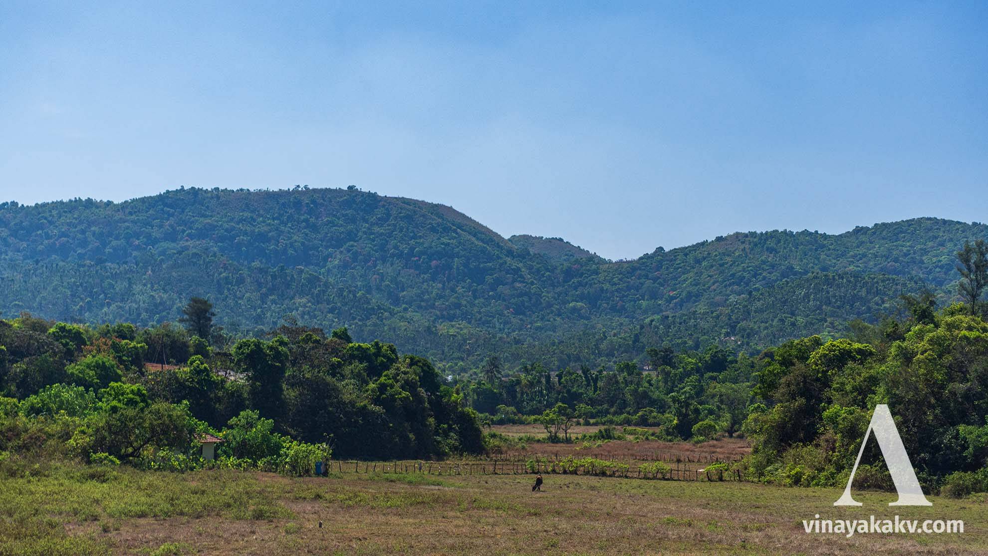 Bordering Western Ghats with their evergreen forests, partially transformed to farmlands. Montane forests, converted into Coffee Plantations, are also seen.