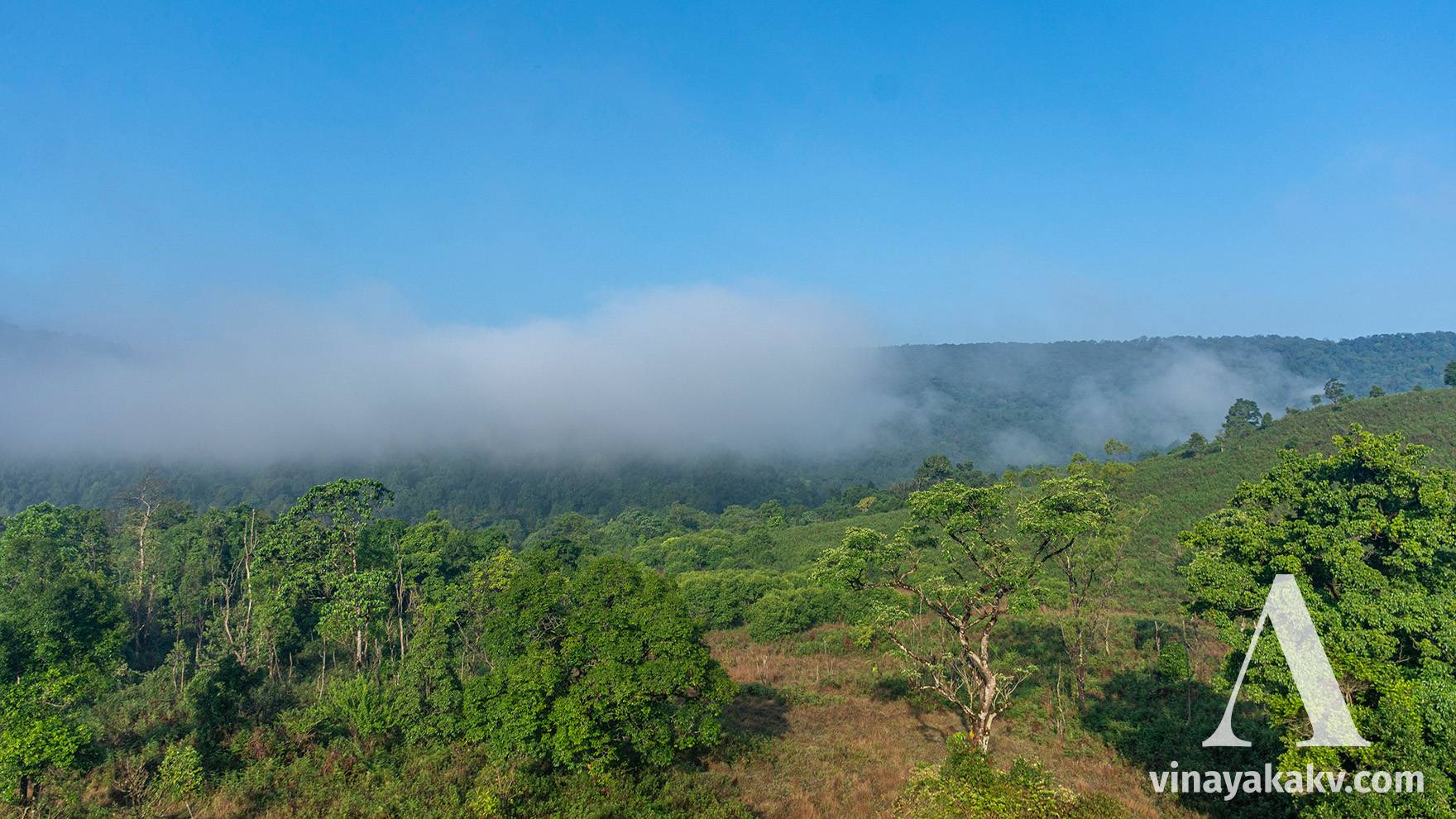 A morning scene with no sign of the rain
