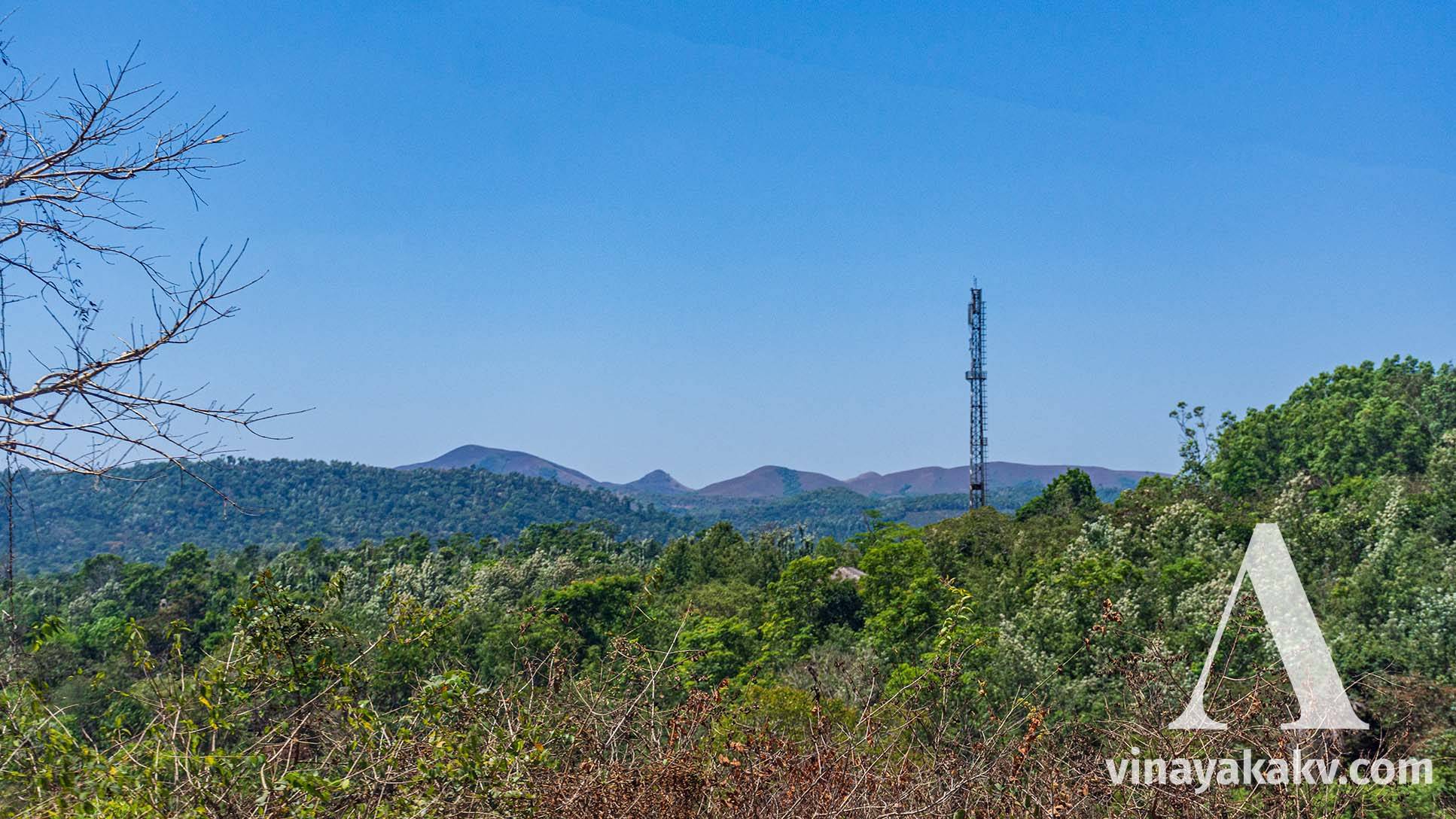 Bordering Western Ghat mountains near _Sakaleshapura_.