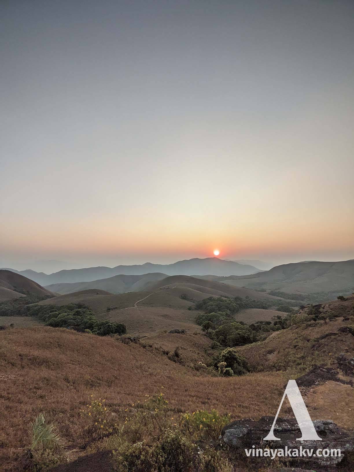 Dry Shola grasslands during winter. Observe that the Shola forests in the valley below are evergreen.
