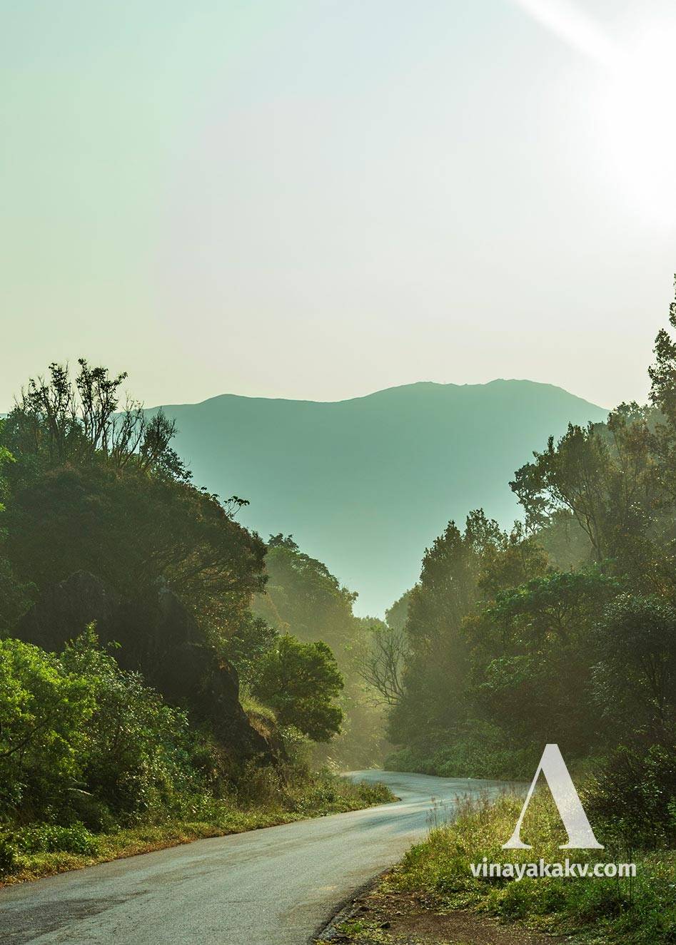 What seems like a beautiful route today, fragmented the forest