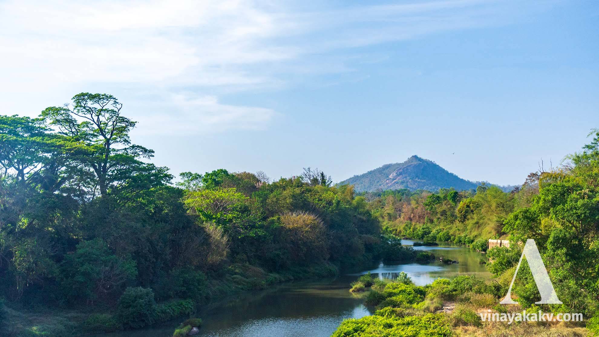 River _Harangi_, before its confluence with the _Kaveri_ river, near Kushalanagar.