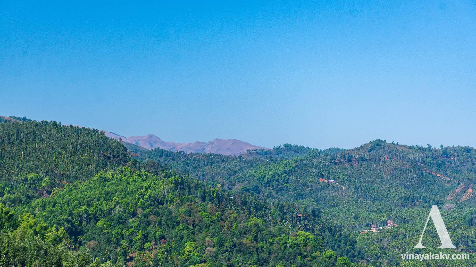 The _Kuduremukha_ mountain seen behind other mountains. The mountains with straight green trees host Coffee plantations, while the straight yellow-colored trees are Areca nut plantations. The colorful broad trees are the evergreen forest, with pale green-colored patches of introduced Acacia trees.