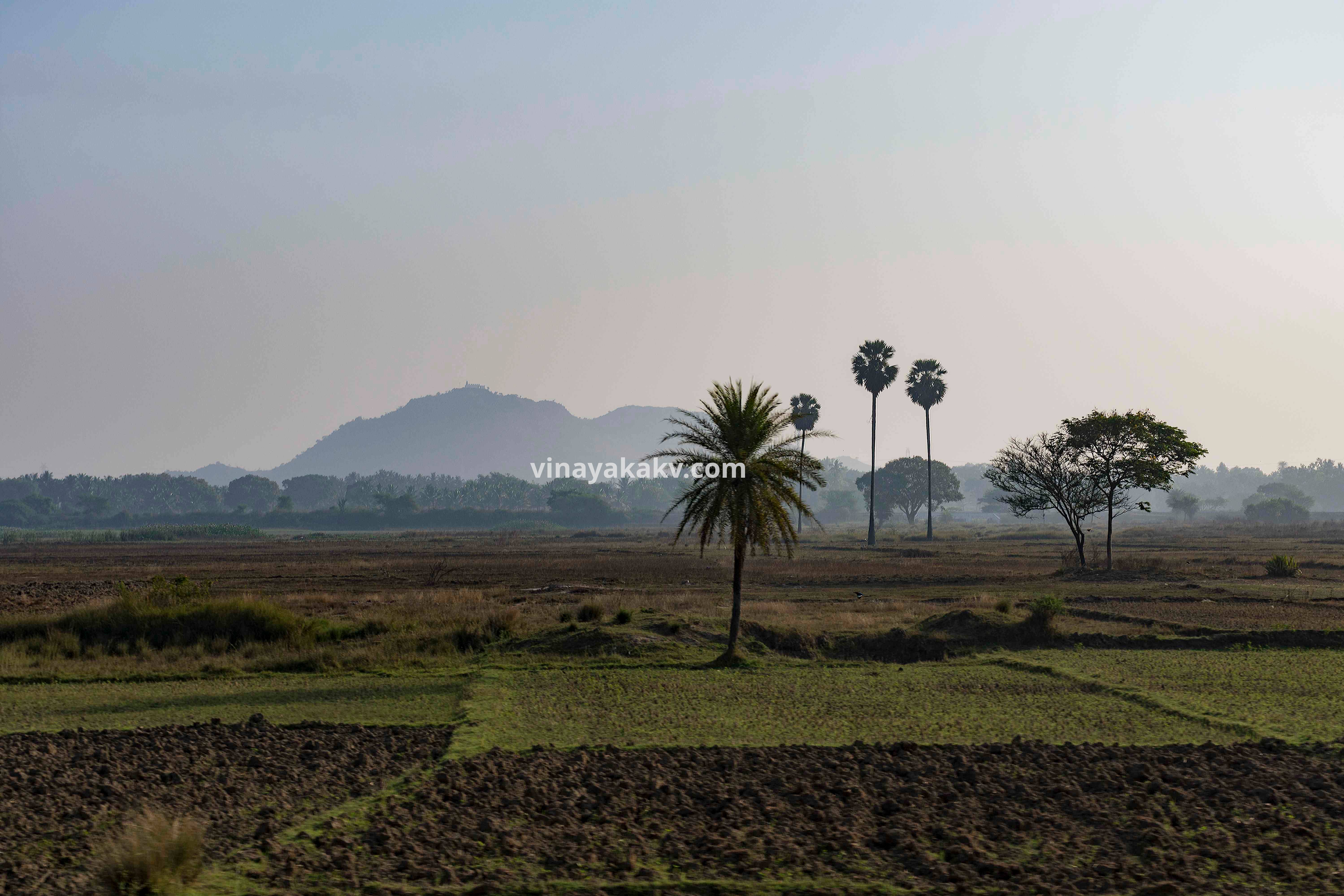 One of the many hillocks of the bayalusīmĕ. This one is from Hŏl̤ĕnarasīpura of Hāsana district.